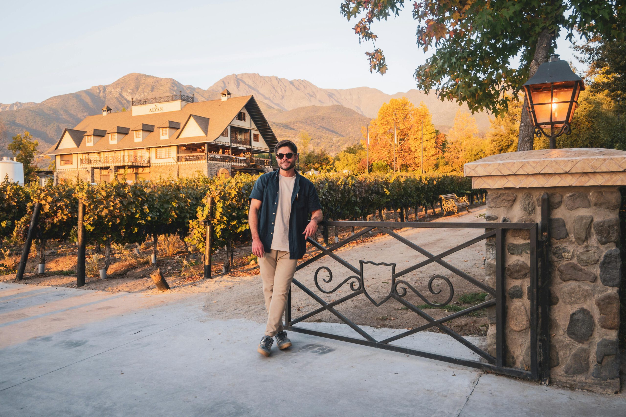 Ama bons vinhos? Conheça as principais vinícolas do Chile