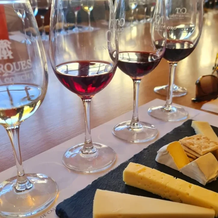 Concha y Toro Marques